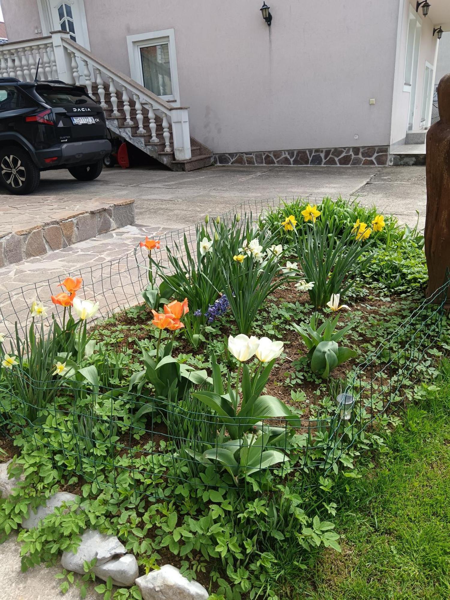 Drago Kremenjas Apartment Delnice Exterior photo